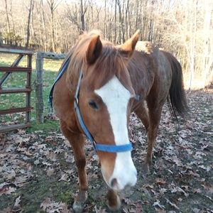 Meet your Posher, Kirsten